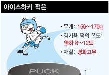 최고시속 177㎞ ‘아이스하키 퍽’의 비밀