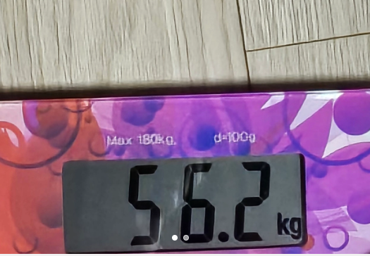 유로디에트 이지디에트 감량